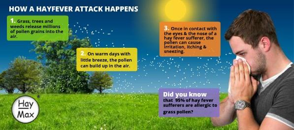 How-hay-fever-happens-still-140410