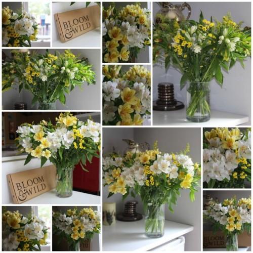 Bloom & Wild Letterbox Flowers Review • A Moment With Franca