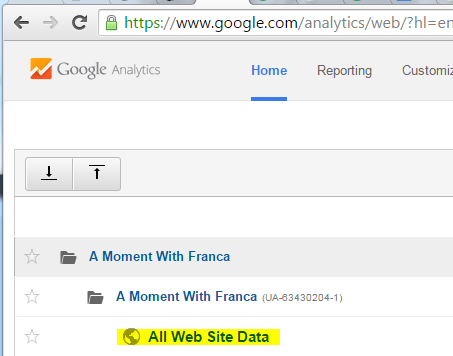 Select your website data