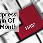 Wordpress Plugin of the month: WP Rollback