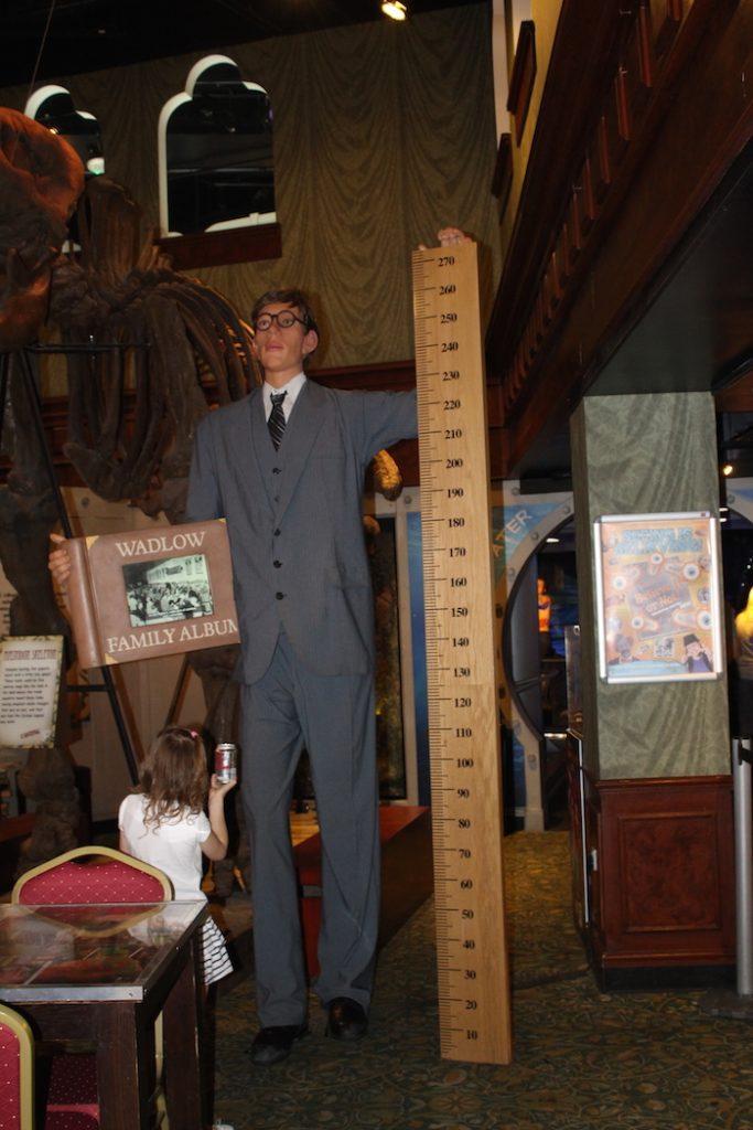 Tallest Man