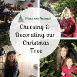 Choosing & Decorating our Pines and Needles Christmas Tree