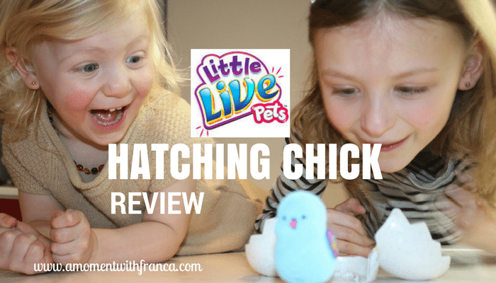 Little Live Pets Hatching Chick Review