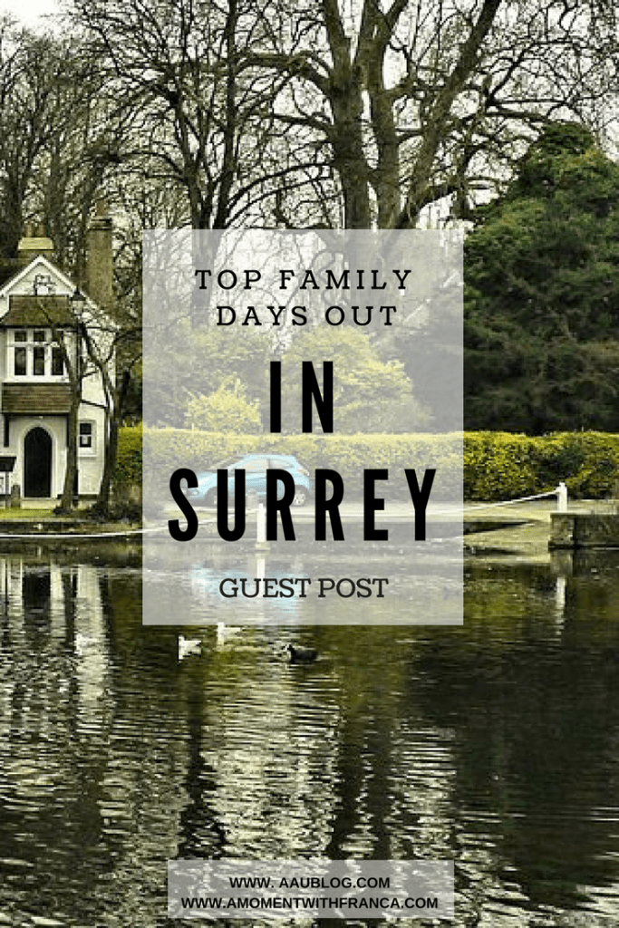 5 Great Family Days Out in Surrey
