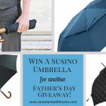 Win A Susino Umbrella For Another Father’s Day Giveaway!