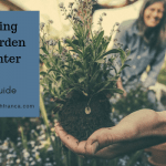 Preparing Your Garden For Winter – Your Go-to Guide