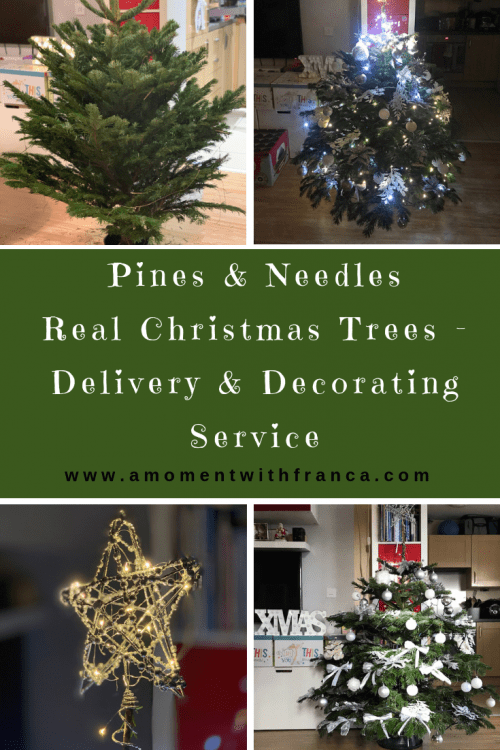 Pines & Needles Real Christmas Trees Delivery & Decorating Service