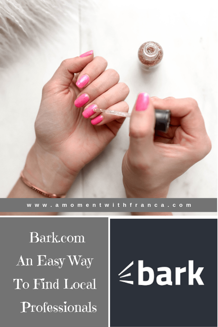 Review An Easy Way To Find Local Professionals • A Moment