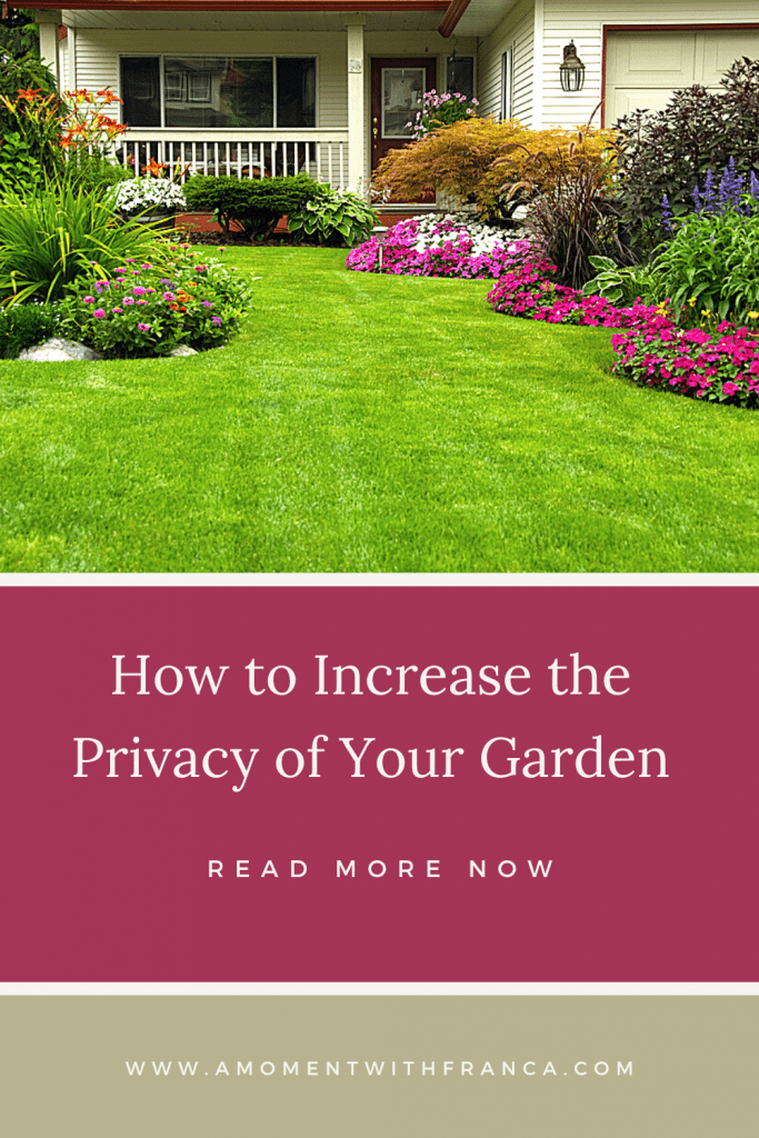 How to Increase the Privacy of Your Garden