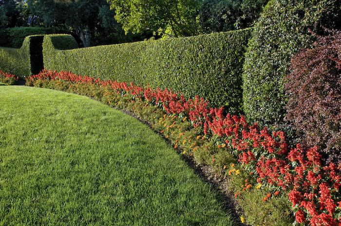 beautiful lawn and hedge, trimmed with flowers