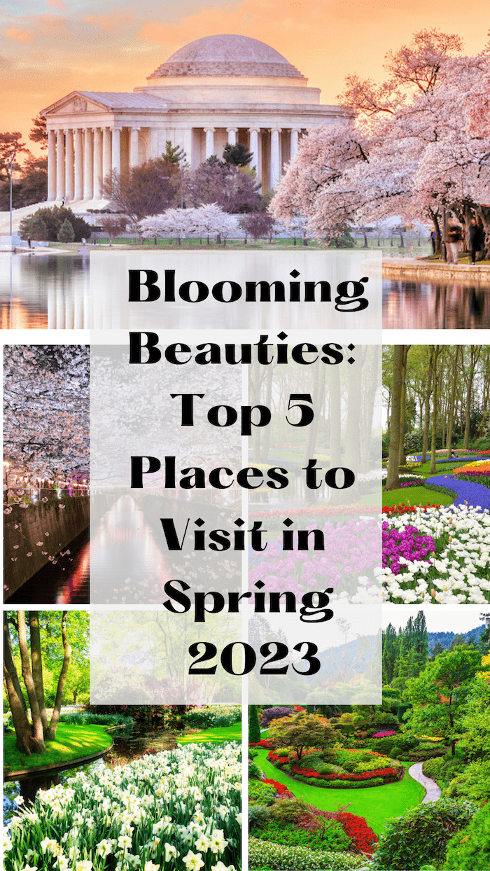 Blooming Beauties: 5 Of The Best Places to See Spring Blooms in 2023