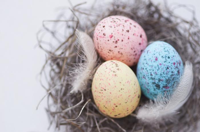 Colourful speckled eggs with feathers in a nest shot overhead for easter celebrations, table decorations