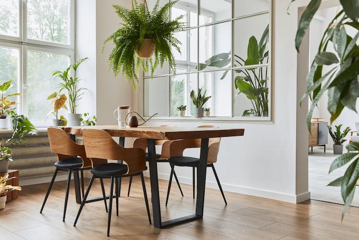 Stylish and cozy interior of dining room with design craft wooden table, chairs, plants, velvet sofa, poster map and elegant accessories in modern home decor. 