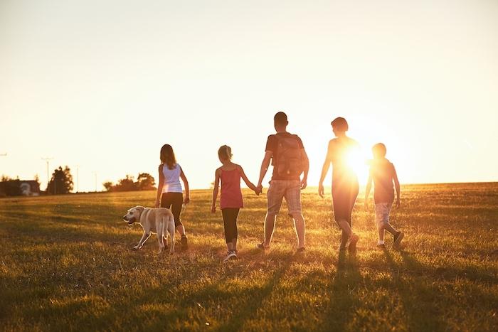 Vacations in countryside. Silhouettes of family with dog walking on meadow at sunset.