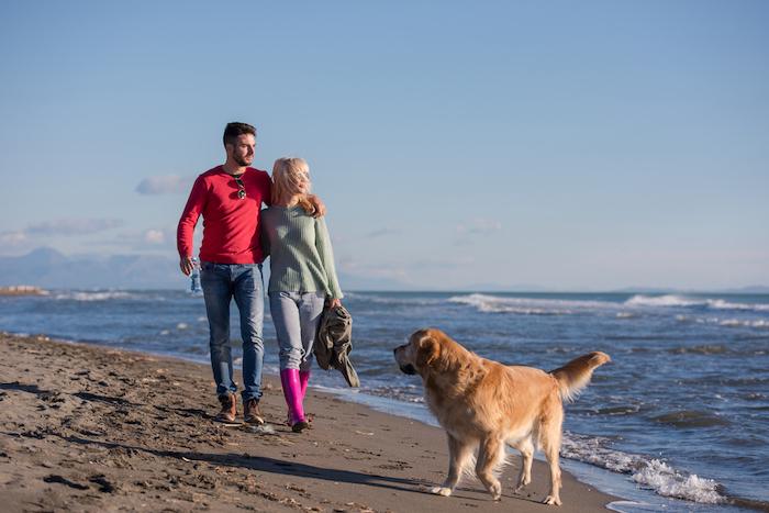 Couple Running On The Beach Holding Their Hands with dog On autmun day