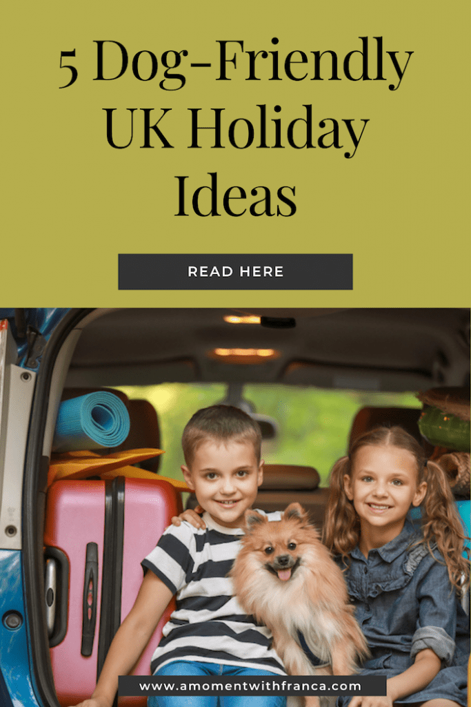 5 Dog-Friendly UK Holiday Ideas Pinterest Pin