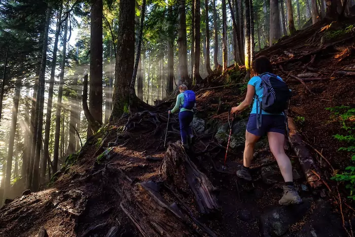 Girl Outdoor Hiking on a Trail in the Woods with Sunny Sunrays coming between the trees. 