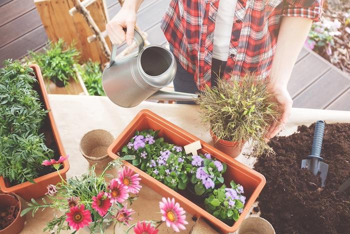 Terrace table with soil