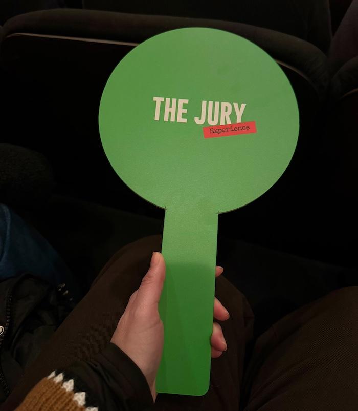 The Jury Experience Prompt