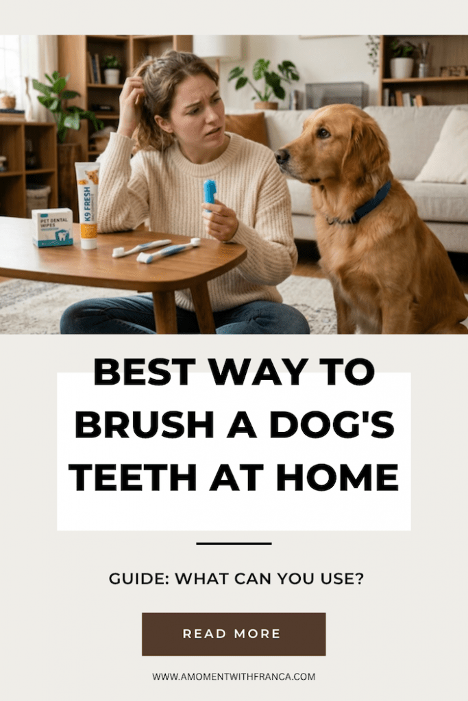 Best Way to Brush a Dog's Teeth at Home Pinterest Pin