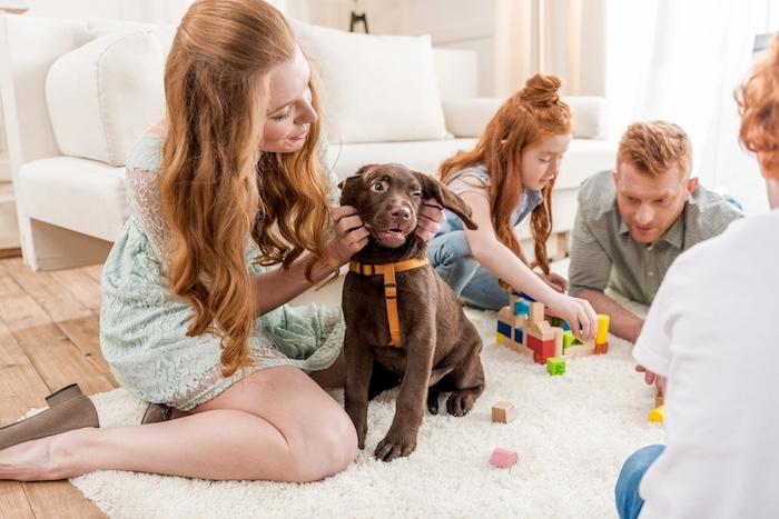 Family playing with puppy