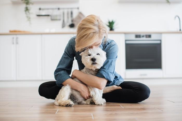 Woman hugging gently adorable dog while posing on wooden floor with legs crossed.