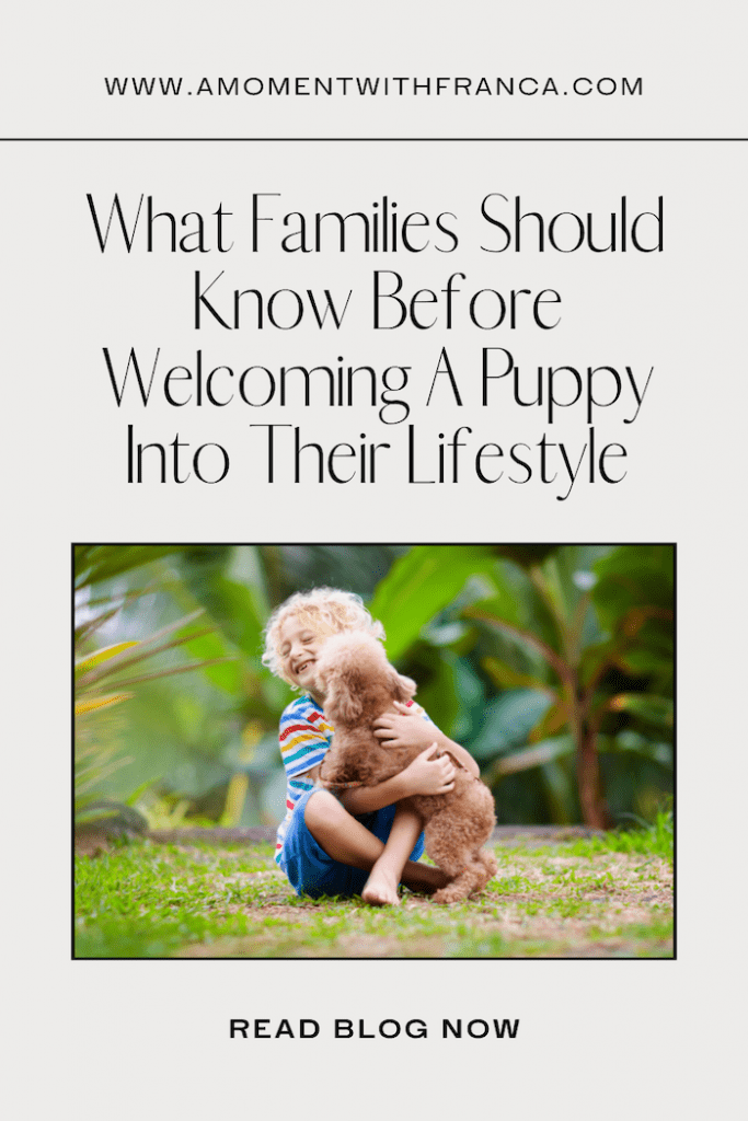What Families Should Know Before Welcoming A Puppy Pinterest Pi9n