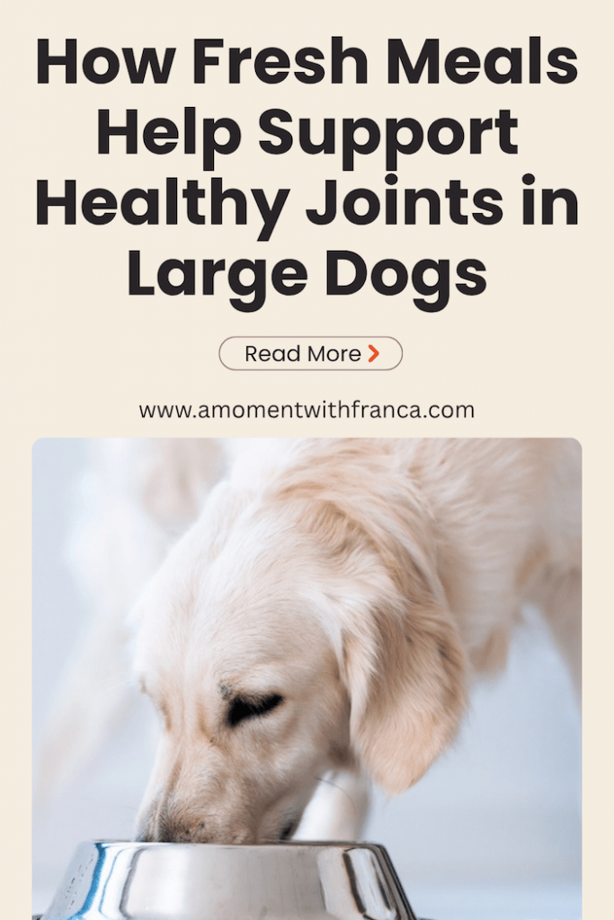 How Fresh Meals Help Support Healthy Joints in Large Dogs Pinterest Pin
