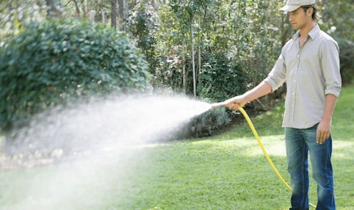 Man watering the garden